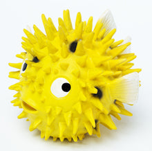 Load image into Gallery viewer, Pufferfish (Ball fish)