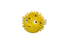 Load image into Gallery viewer, Pufferfish (Ball fish)