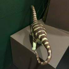 Load image into Gallery viewer, Apatosaurus