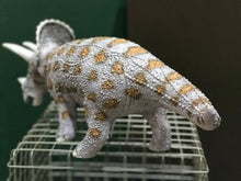 Load image into Gallery viewer, Triceratops