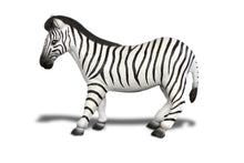 Load image into Gallery viewer, Zebra