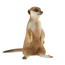 Load image into Gallery viewer, Meerkat