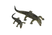 Load image into Gallery viewer, Alligator