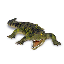 Load image into Gallery viewer, Alligator