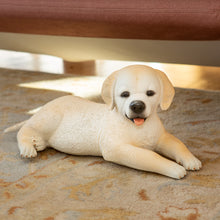 Load image into Gallery viewer, Golden Labrador Retriever