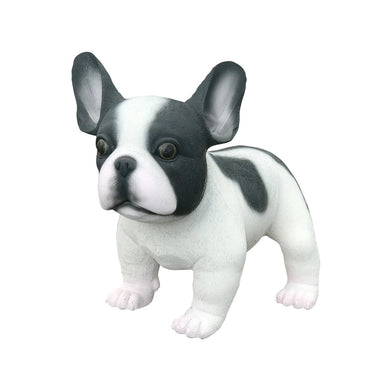 French Bulldog (baby)