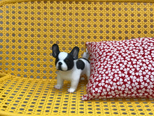Load image into Gallery viewer, French Bulldog (baby)