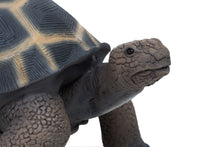 Load image into Gallery viewer, Turtle