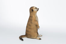 Load image into Gallery viewer, Meerkat
