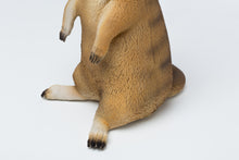 Load image into Gallery viewer, Meerkat