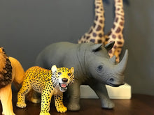 Load image into Gallery viewer, Rhino