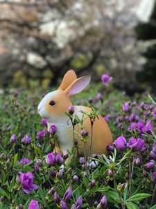 Rabbit (Large) 3 color variants