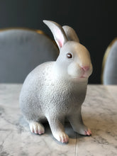 Load image into Gallery viewer, Rabbit (Large) 3 color variants