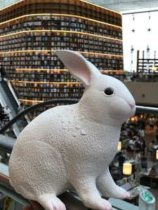 Rabbit (Large) 3 color variants