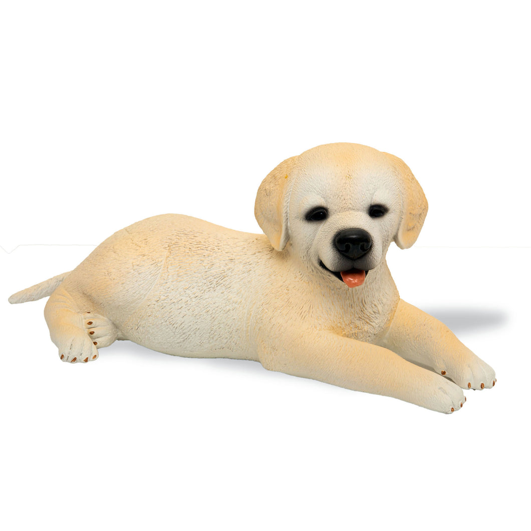 Golden Labrador Retriever