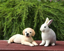 Load image into Gallery viewer, Golden Labrador Retriever